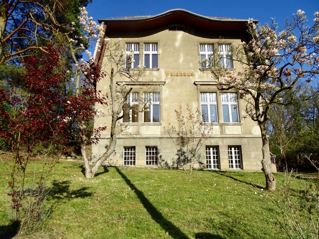 Villa Waldhaus