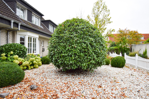 Hans-Berge-Str. 21 Exposé (65 von 65)