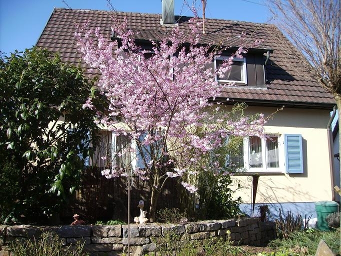 Altes Haus in neuem Glanz - hier fühlt man sich sofort zu Hause