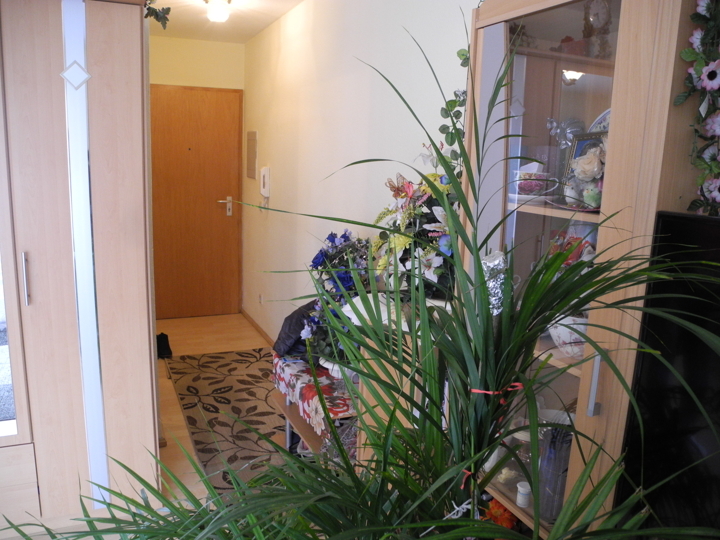 Charmantes 1-Zimmerappartement mit sonnigem Balkon, TG-Stellplatz im schönen 