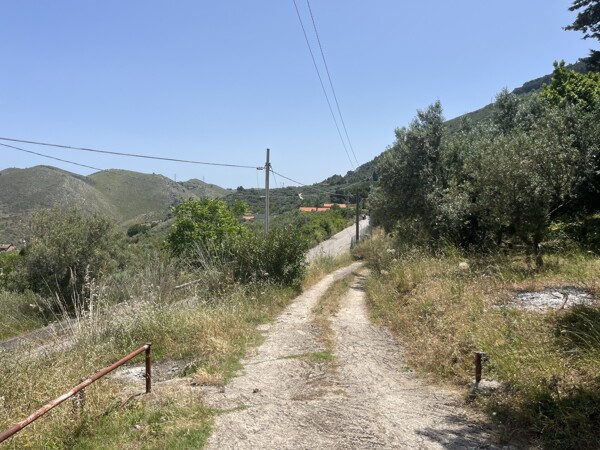 altofonte 4