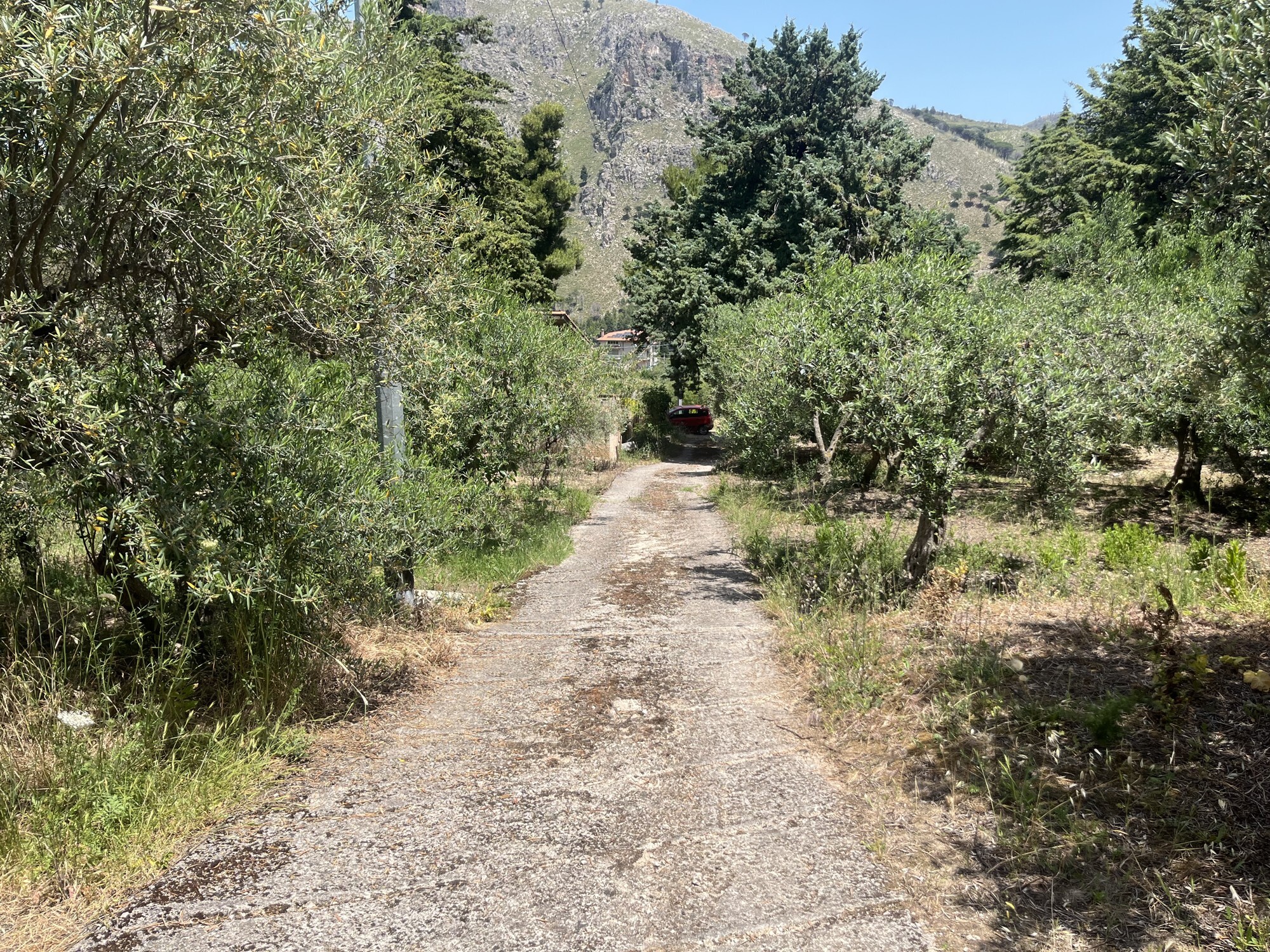 altofonte 1