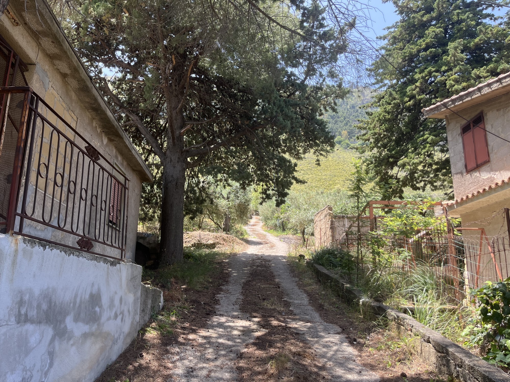 altofonte 3