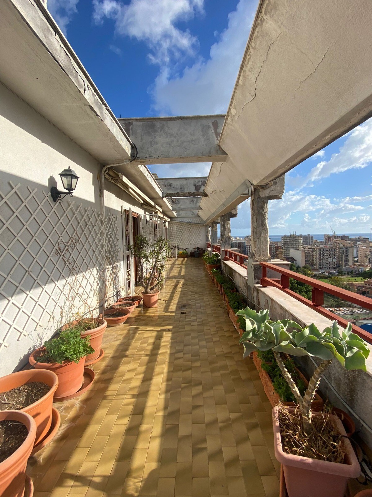 WhatsApp Image 2023-03-21 at 11.42.34 (3)