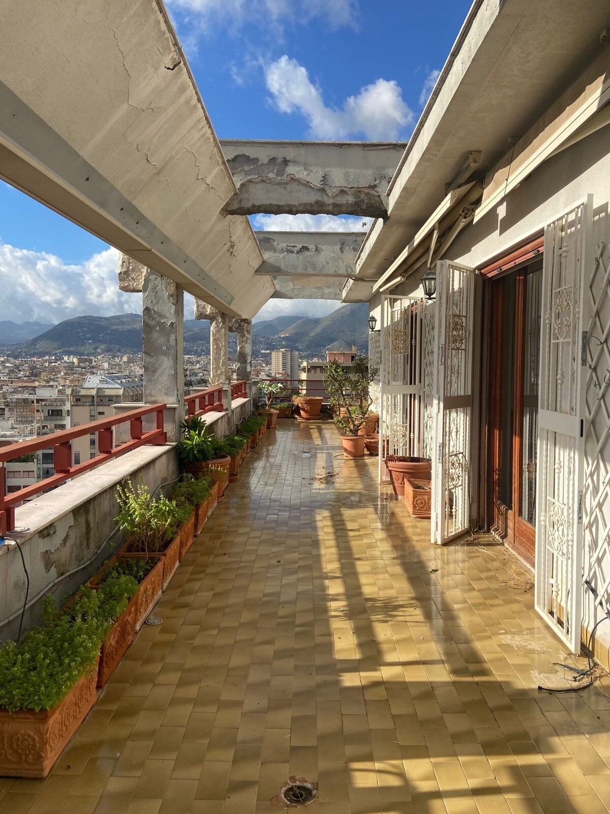 WhatsApp Image 2023-03-21 at 11.42.35