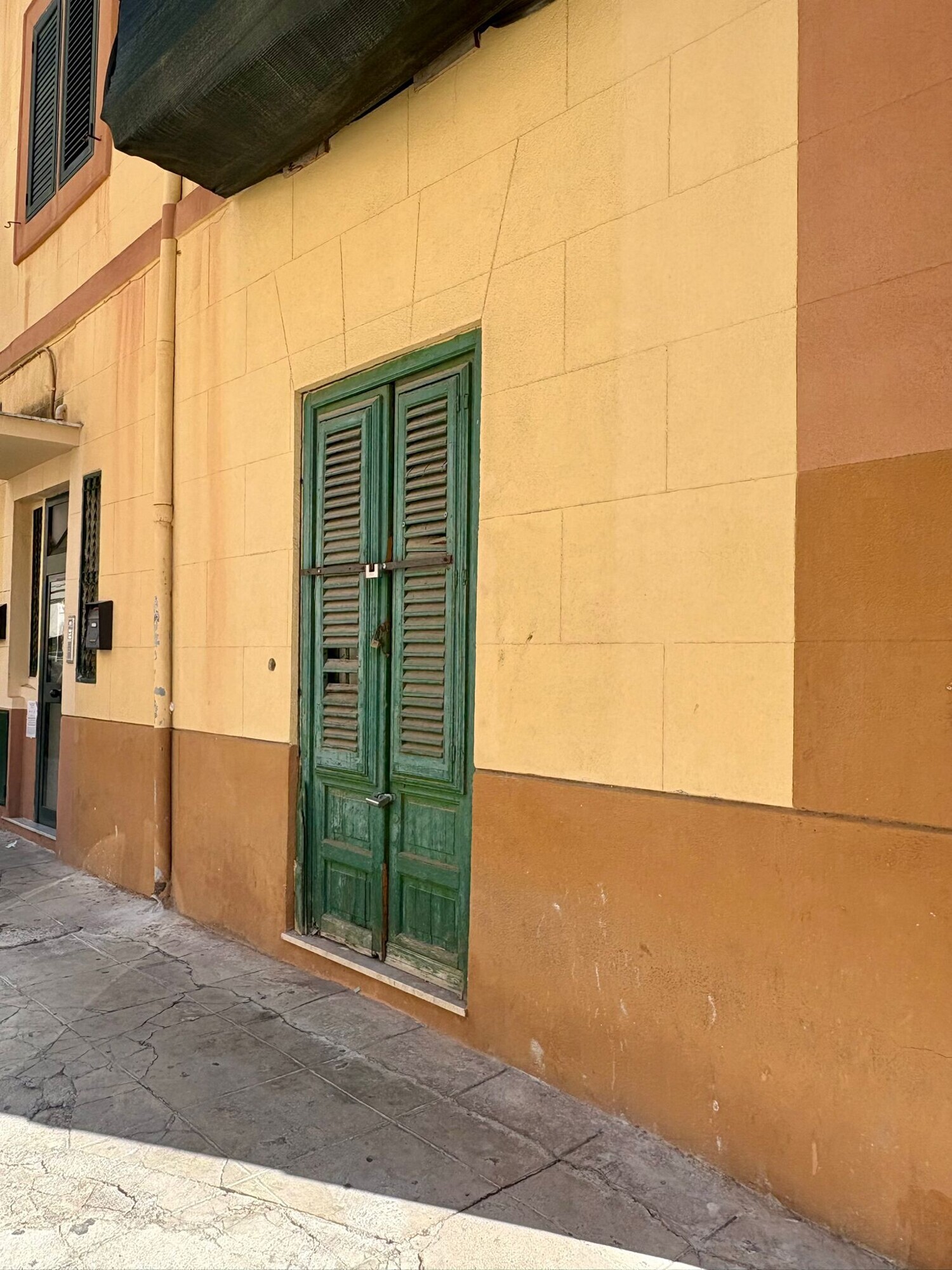 WhatsApp Image 2025-09-23 at 15.29.53