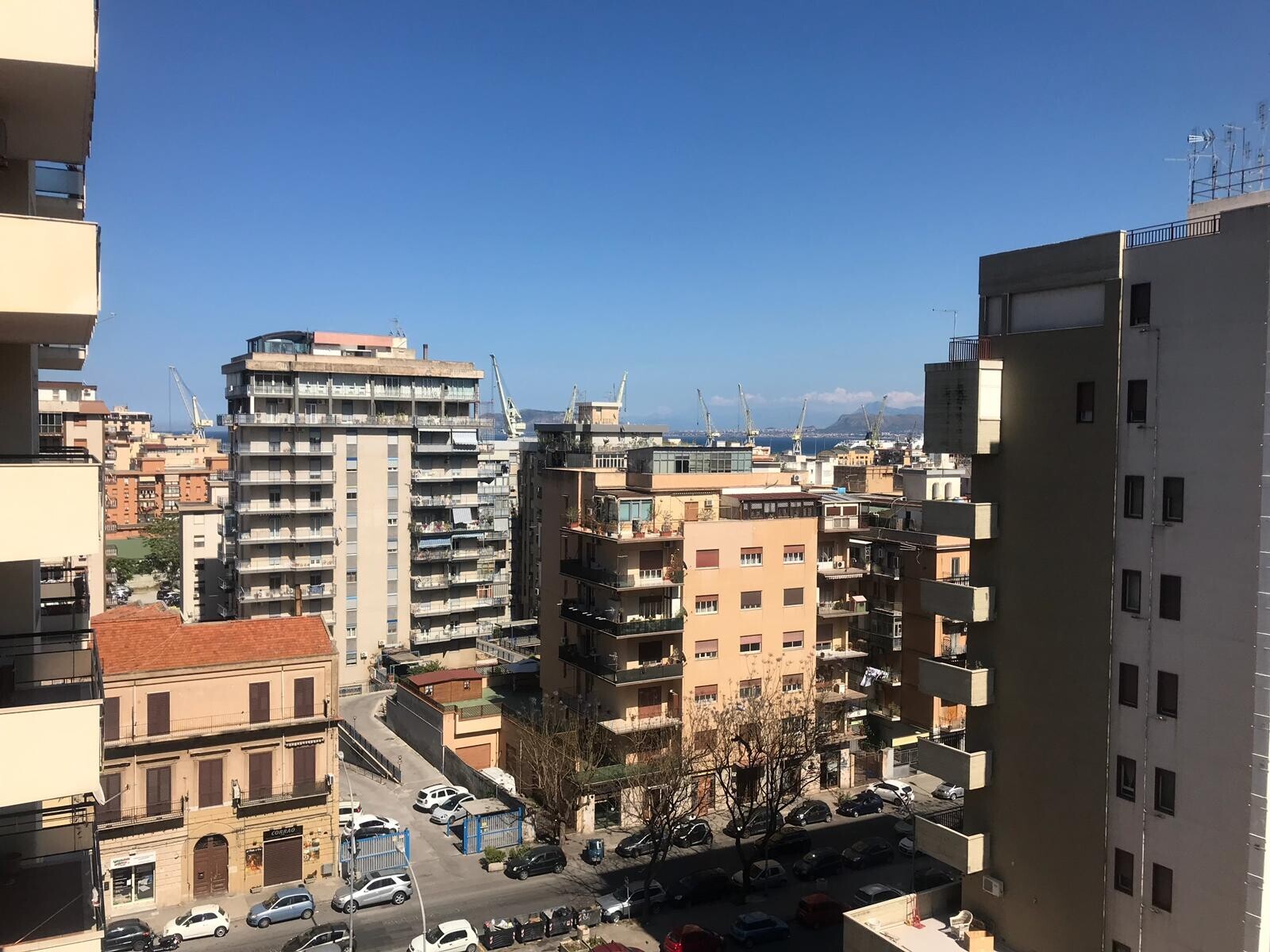 WhatsApp Image 2025-09-18 at 17.00.17 (5)