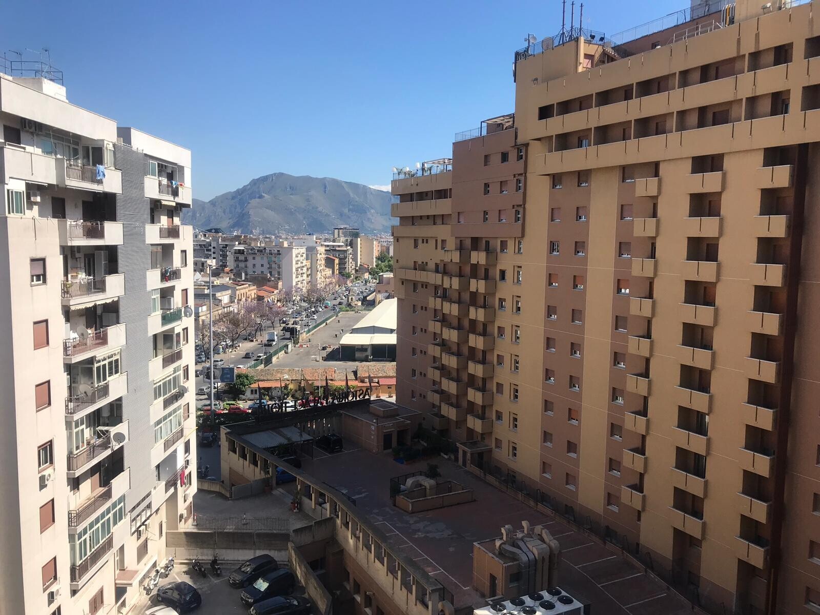 WhatsApp Image 2025-09-18 at 17.00.17 (4)