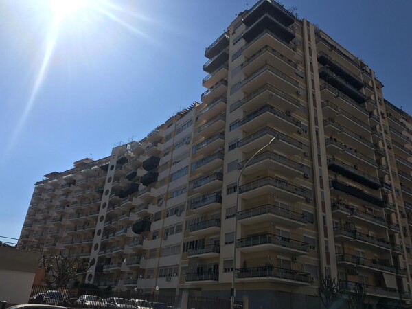 WhatsApp Image 2025-09-18 at 17.00.16