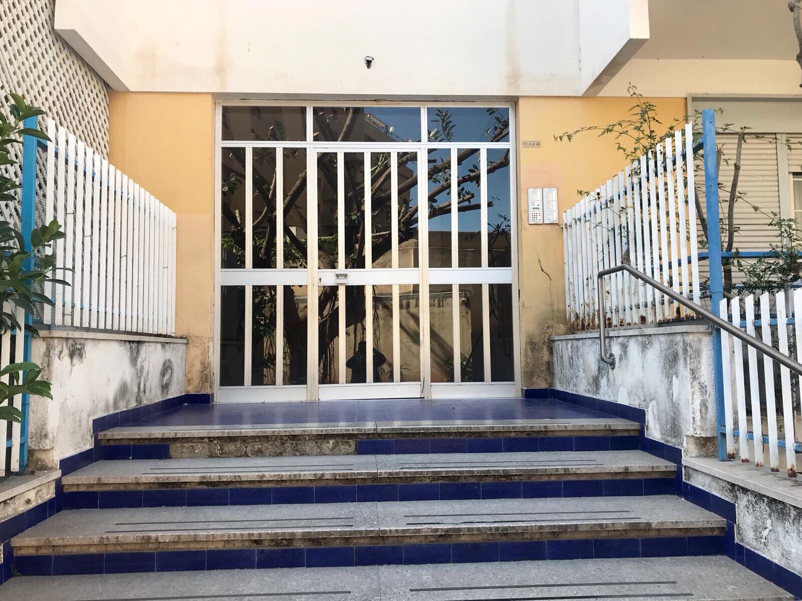 WhatsApp Image 2025-09-18 at 17.00.16 (4)