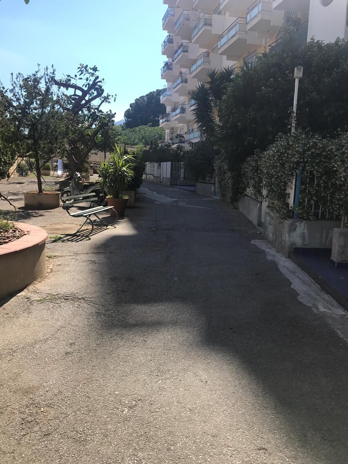 WhatsApp Image 2025-09-18 at 17.00.16 (1)