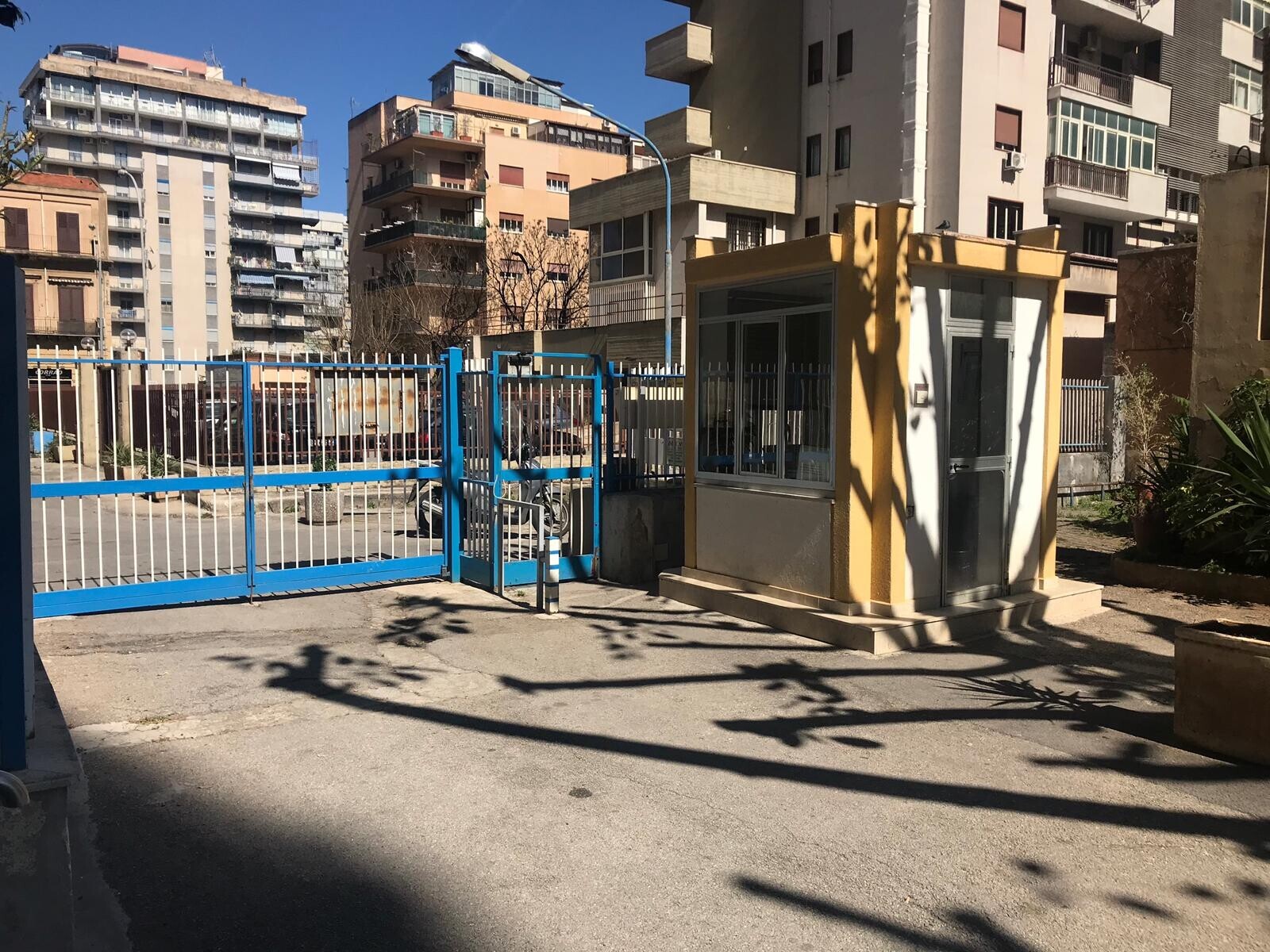 WhatsApp Image 2025-09-18 at 17.00.16 (3)