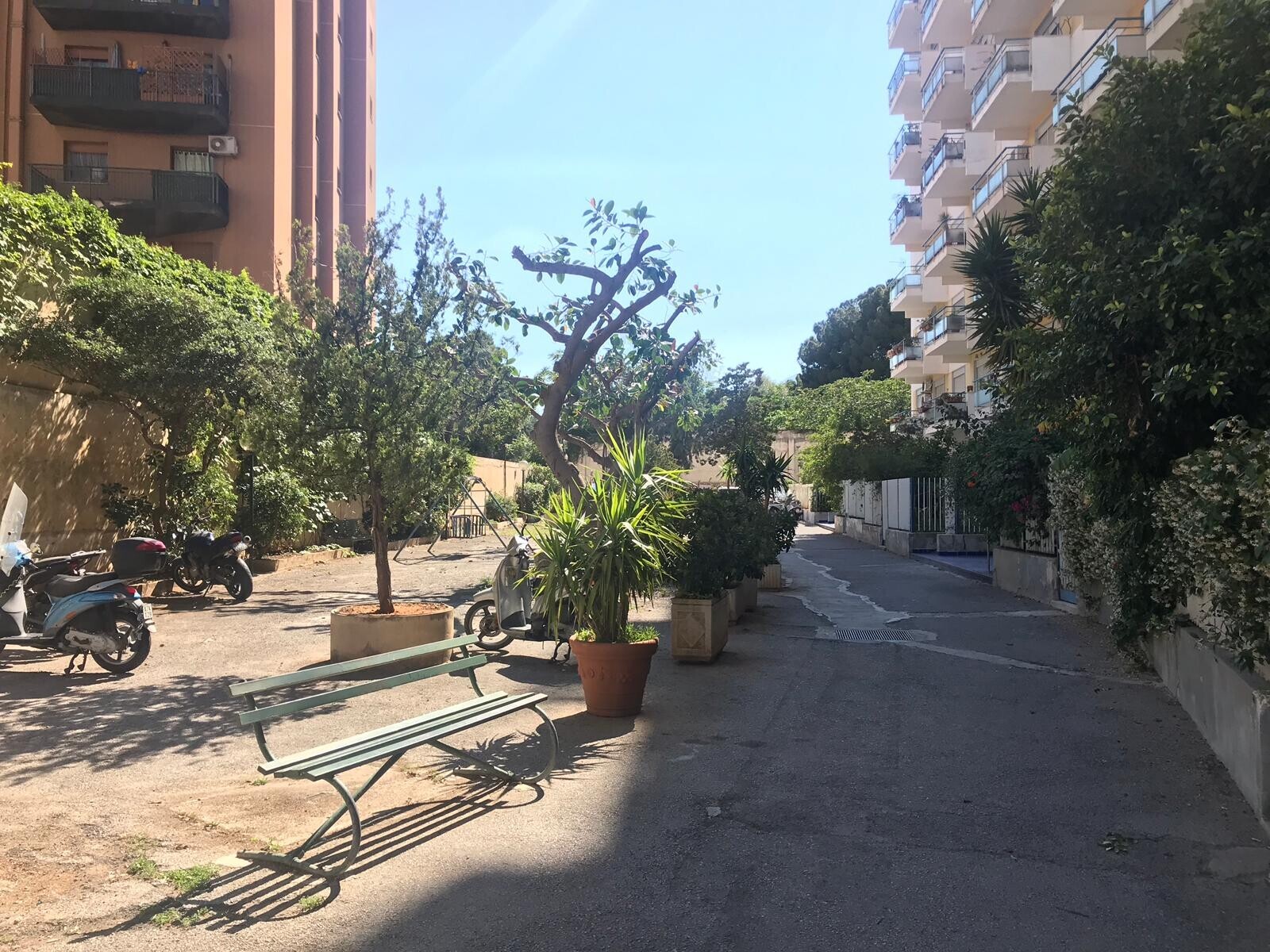 WhatsApp Image 2025-09-18 at 17.00.16 (2)