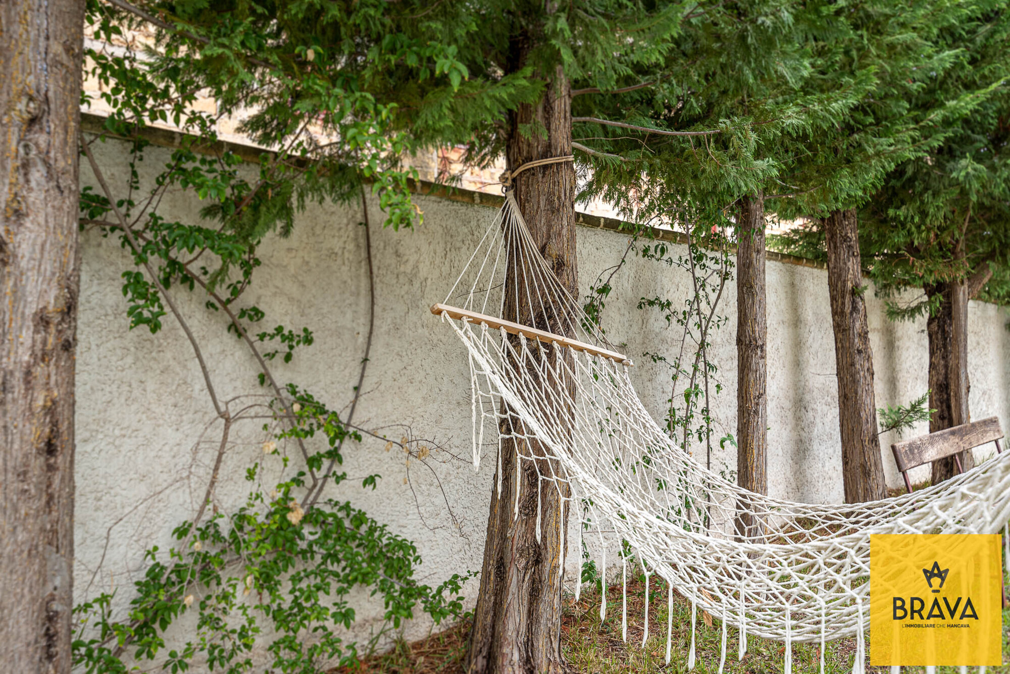 MAB 2025 - trabia BR LOGO-13