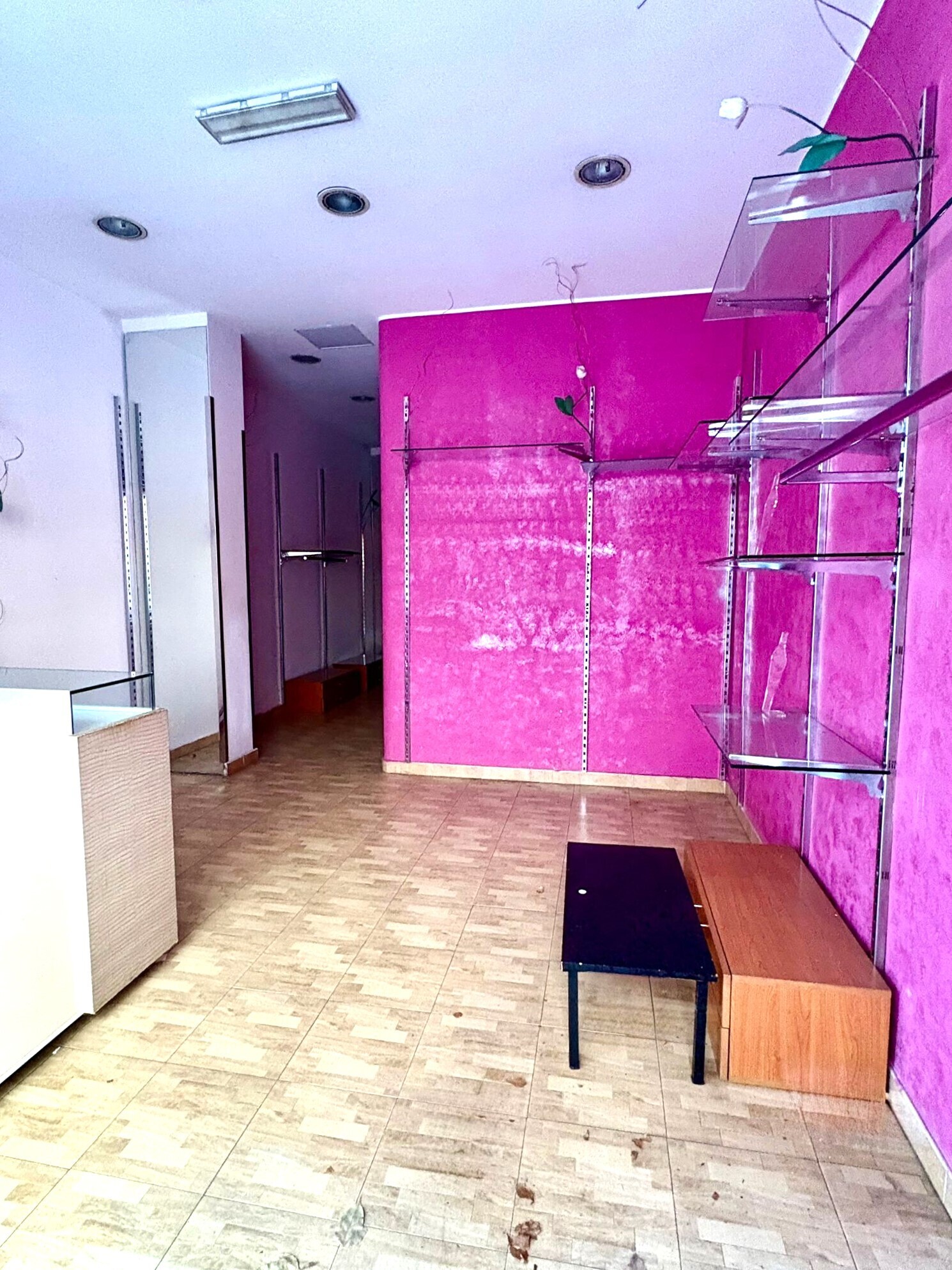 WhatsApp Image 2025-10-27 at 12.05.48