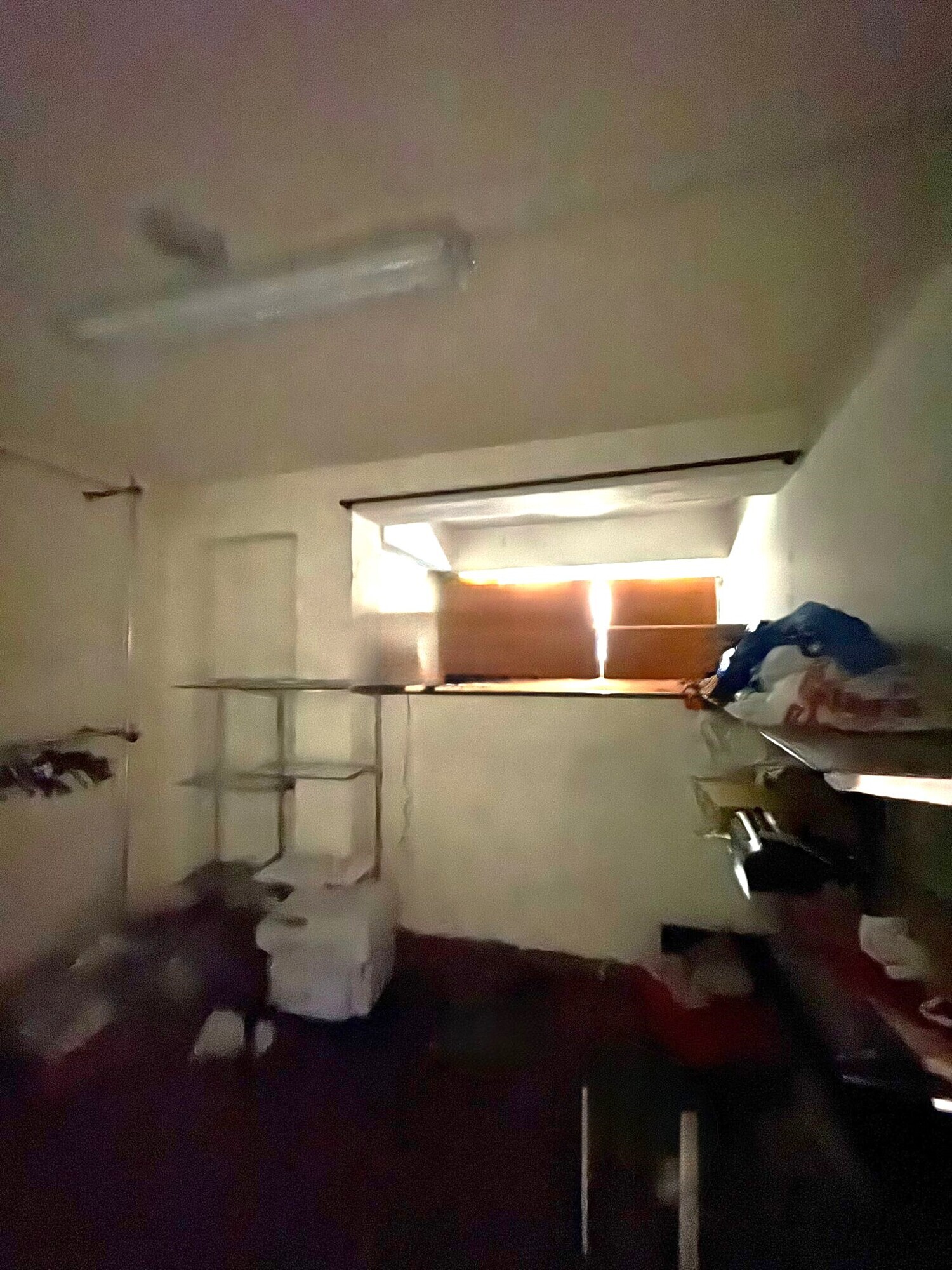 WhatsApp Image 2025-10-27 at 12.05.49 (3)