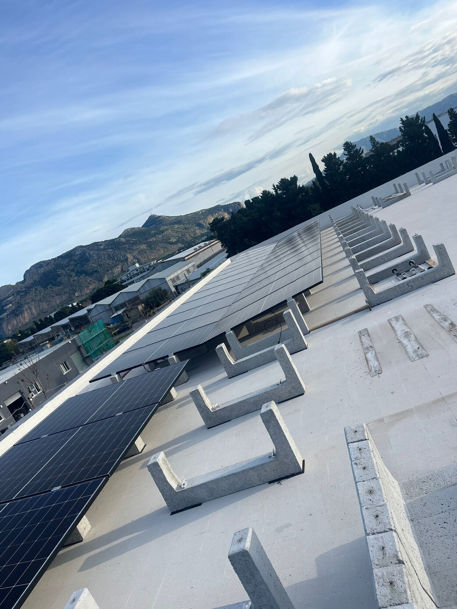 WhatsApp Image 2025-12-03 at 12.14.40