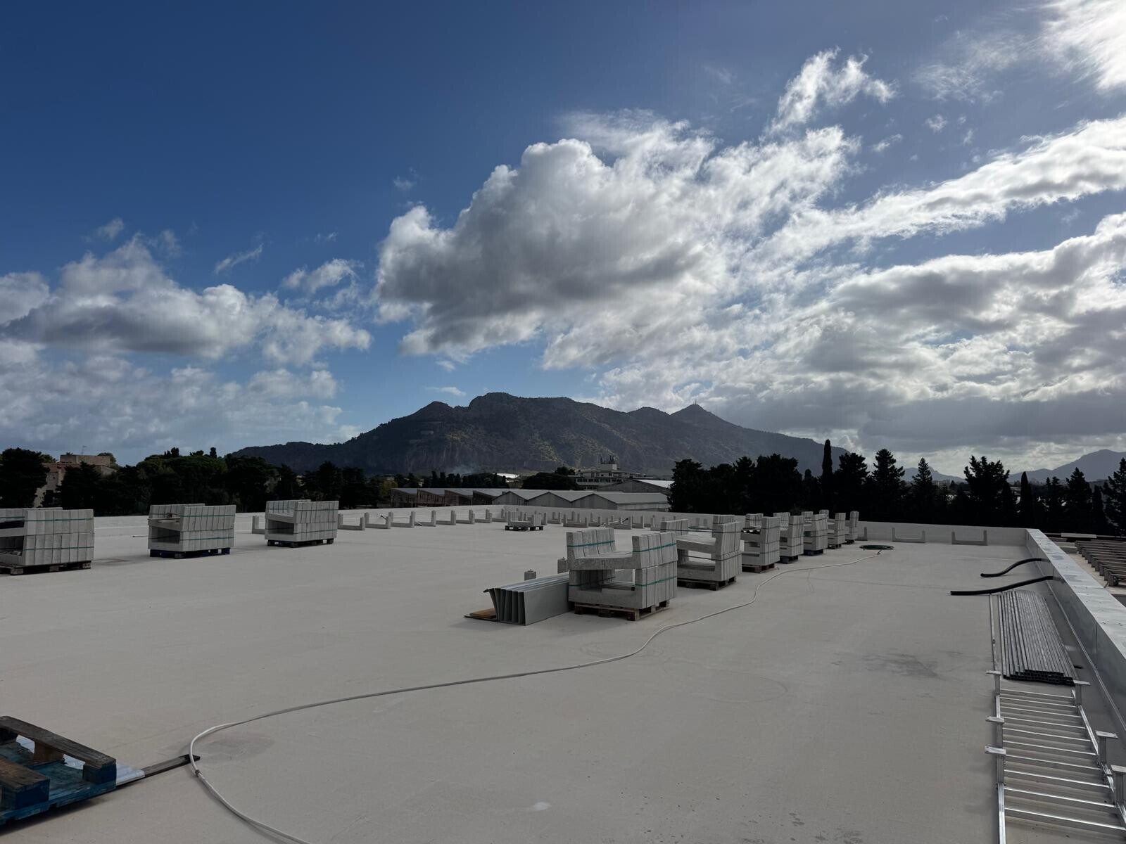 WhatsApp Image 2025-11-07 at 12.16.33