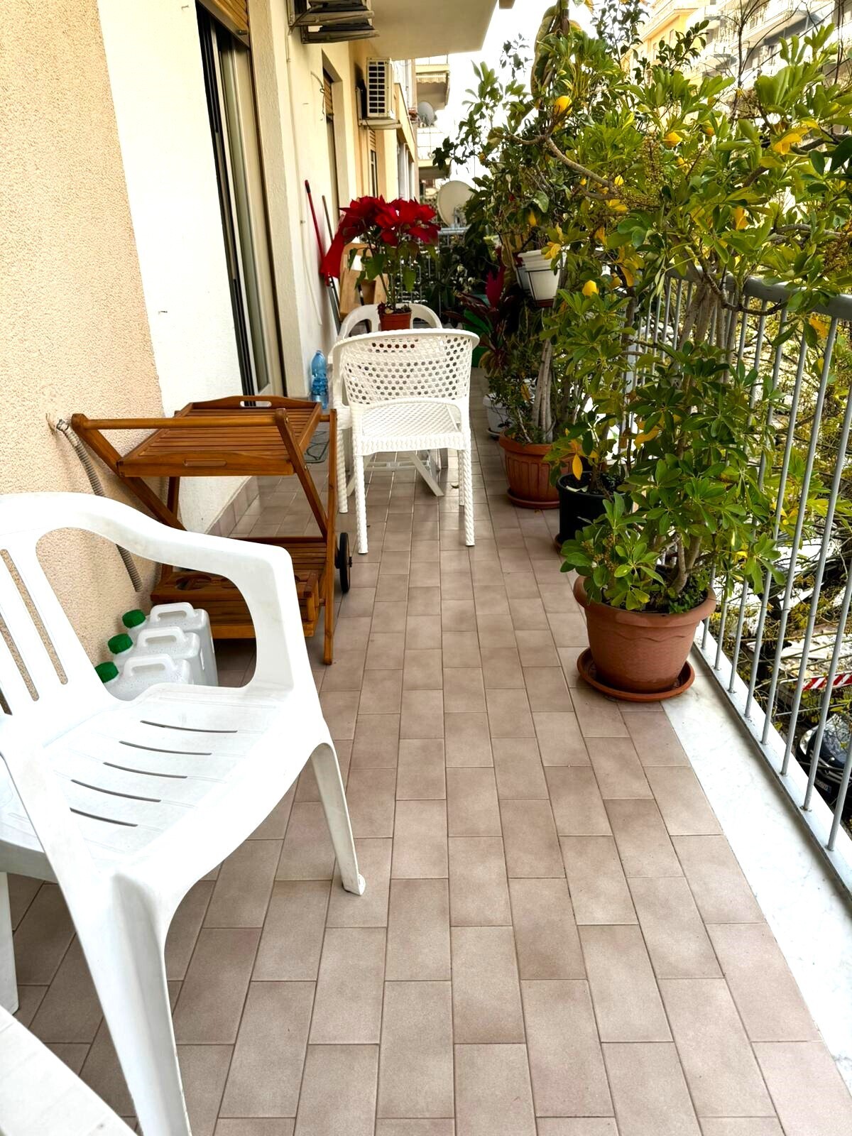 WhatsApp Image 2025-11-03 at 11.57.00 (2)