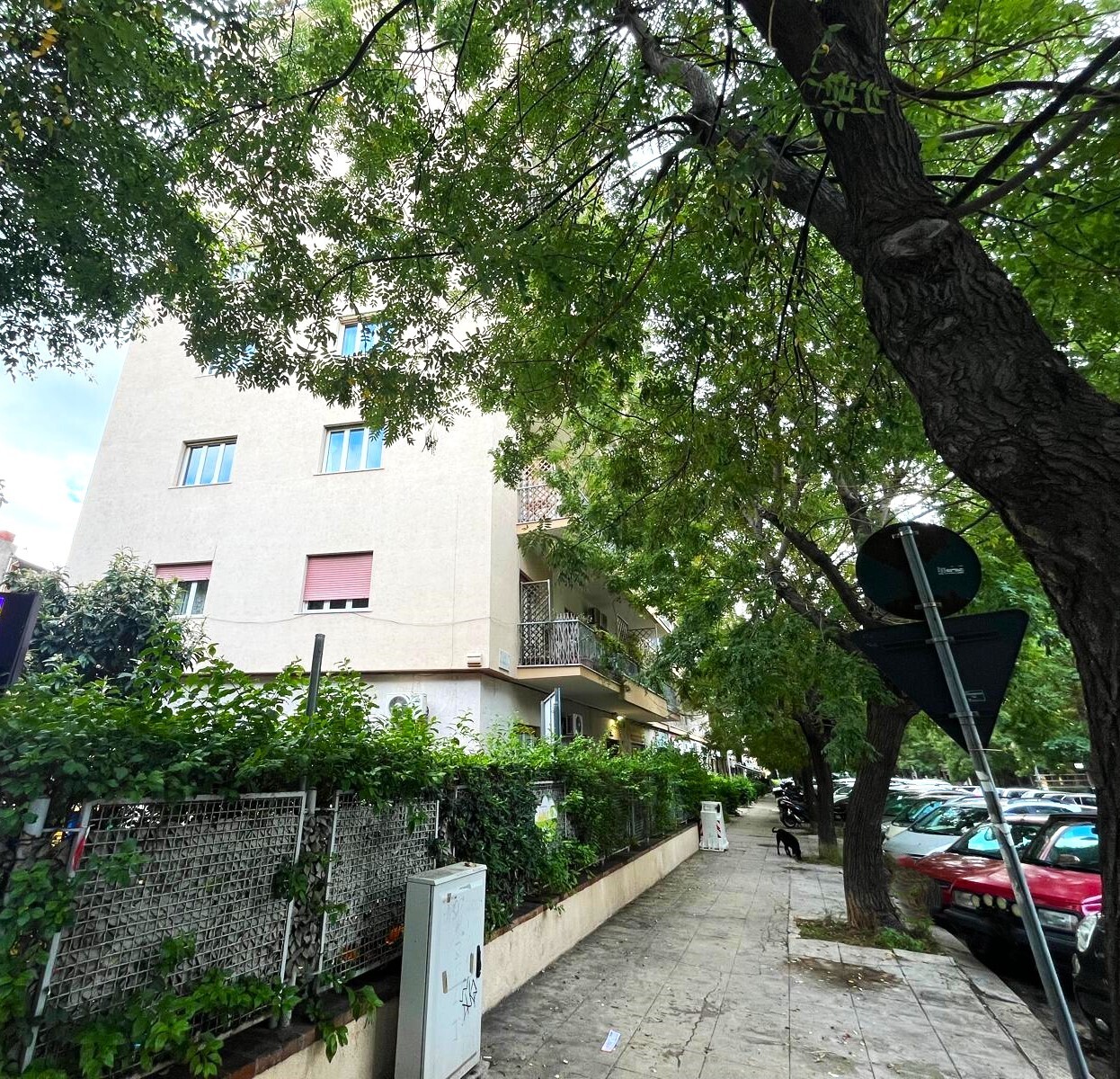 WhatsApp Image 2025-11-03 at 12.38.03 (1)