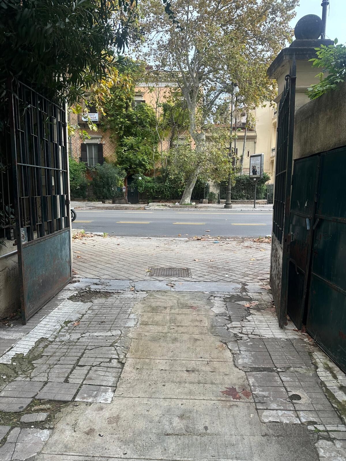 WhatsApp Image 2025-11-25 at 09.36.10 (1)