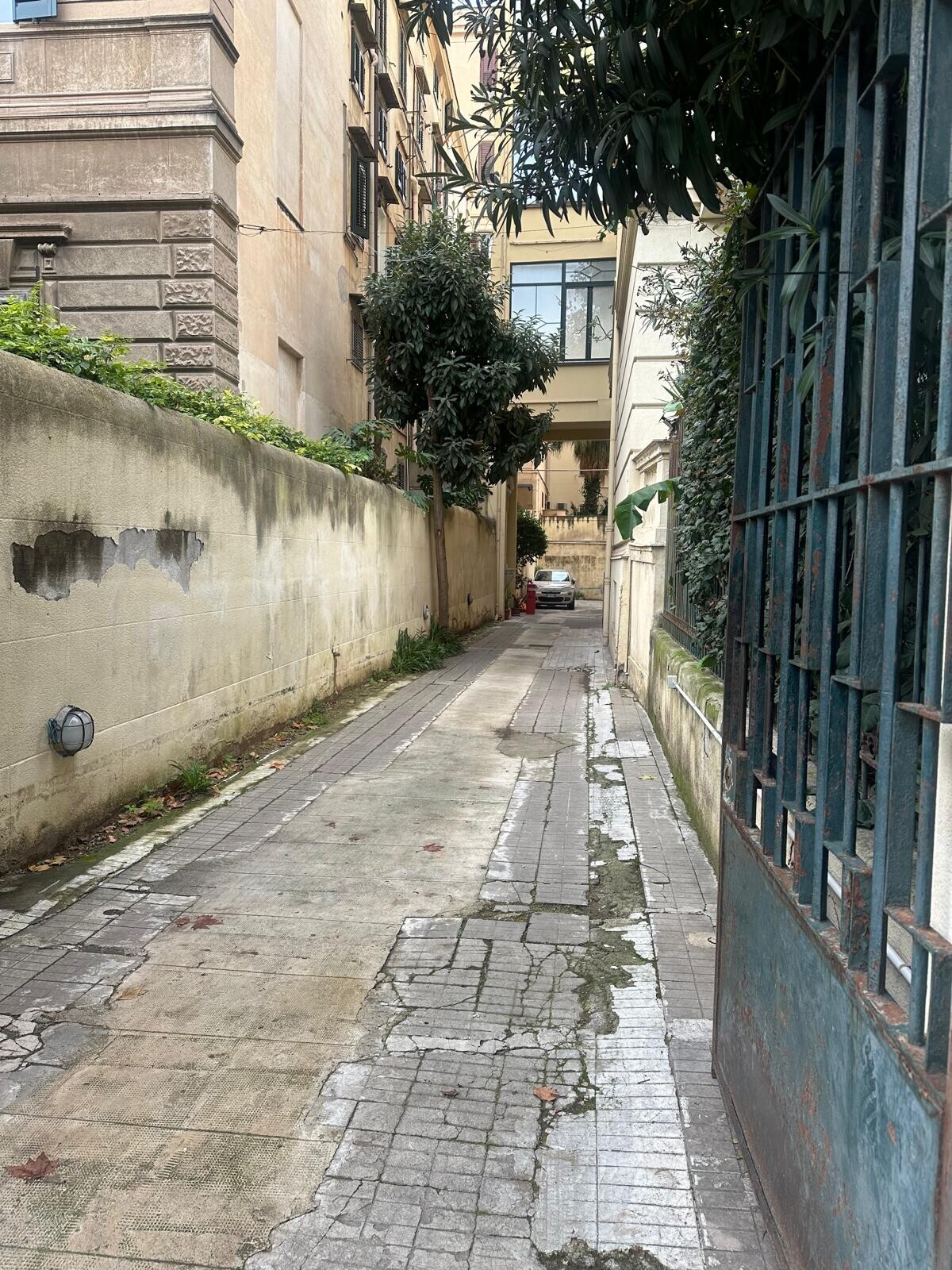 WhatsApp Image 2025-11-25 at 09.36.10