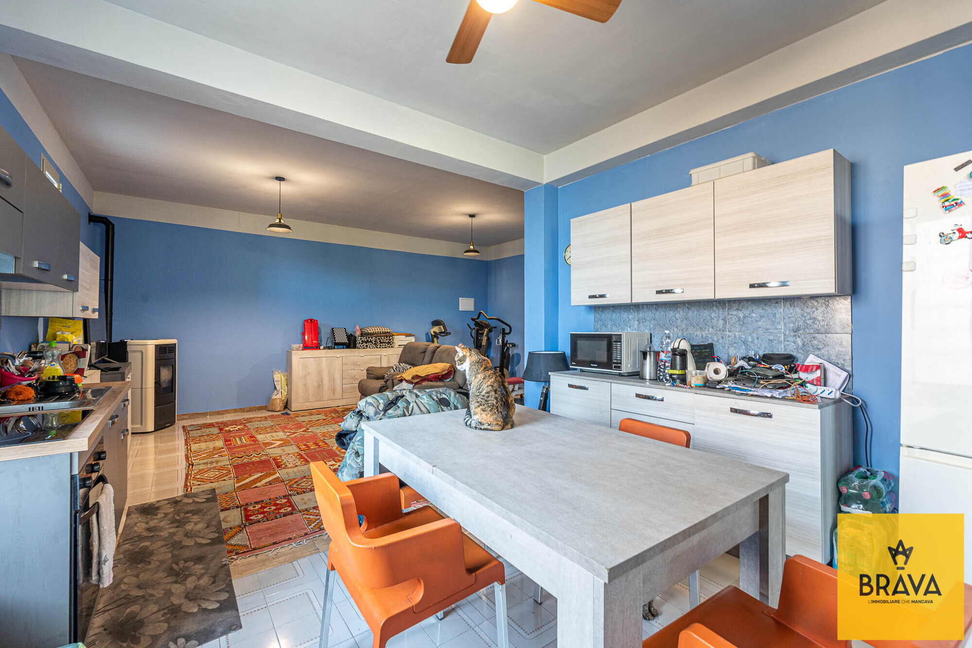 MAB 2025 - contrada mulinazzo BR LOGO-32