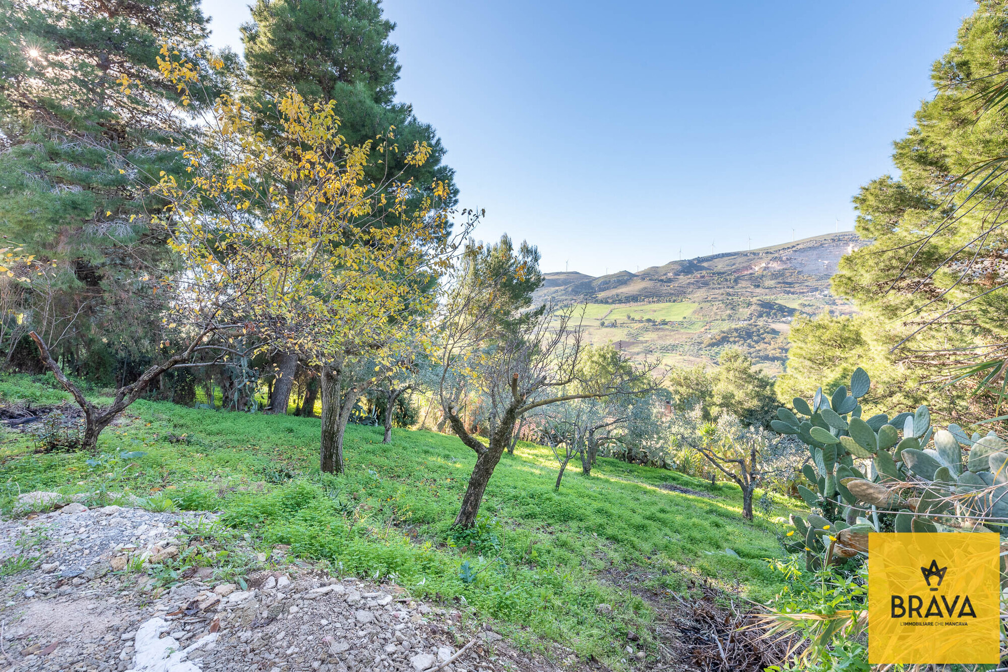 MAB 2025 - contrada mulinazzo BR LOGO-7