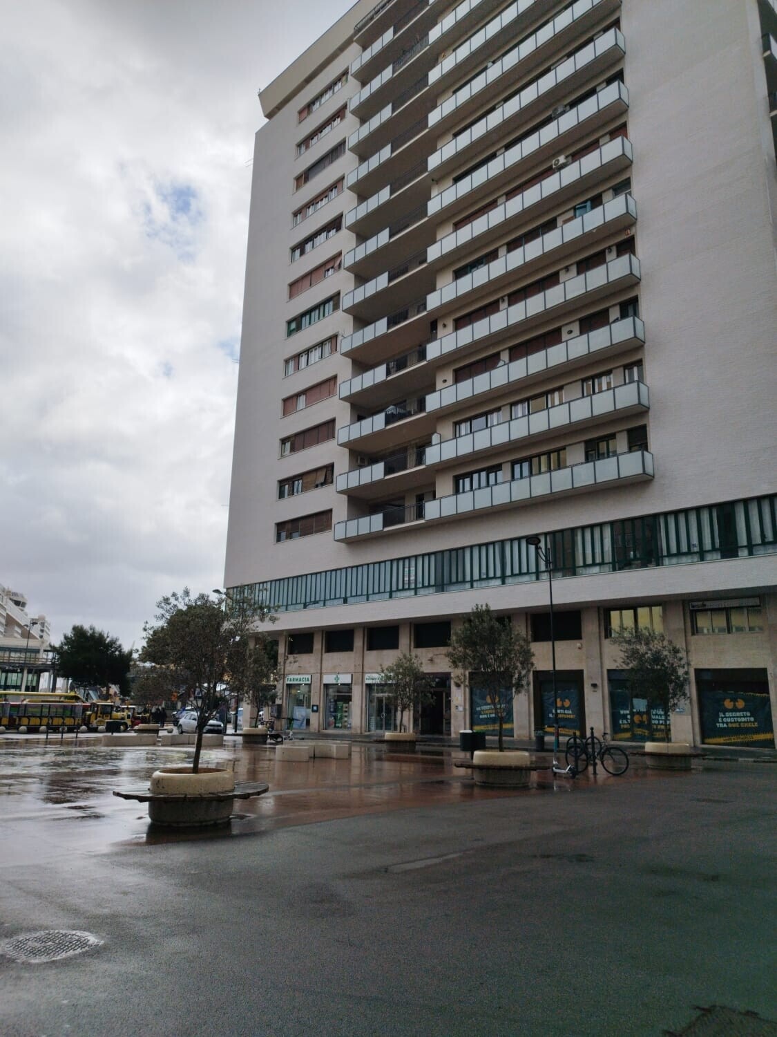 WhatsApp Image 2026-02-11 at 11.06.52