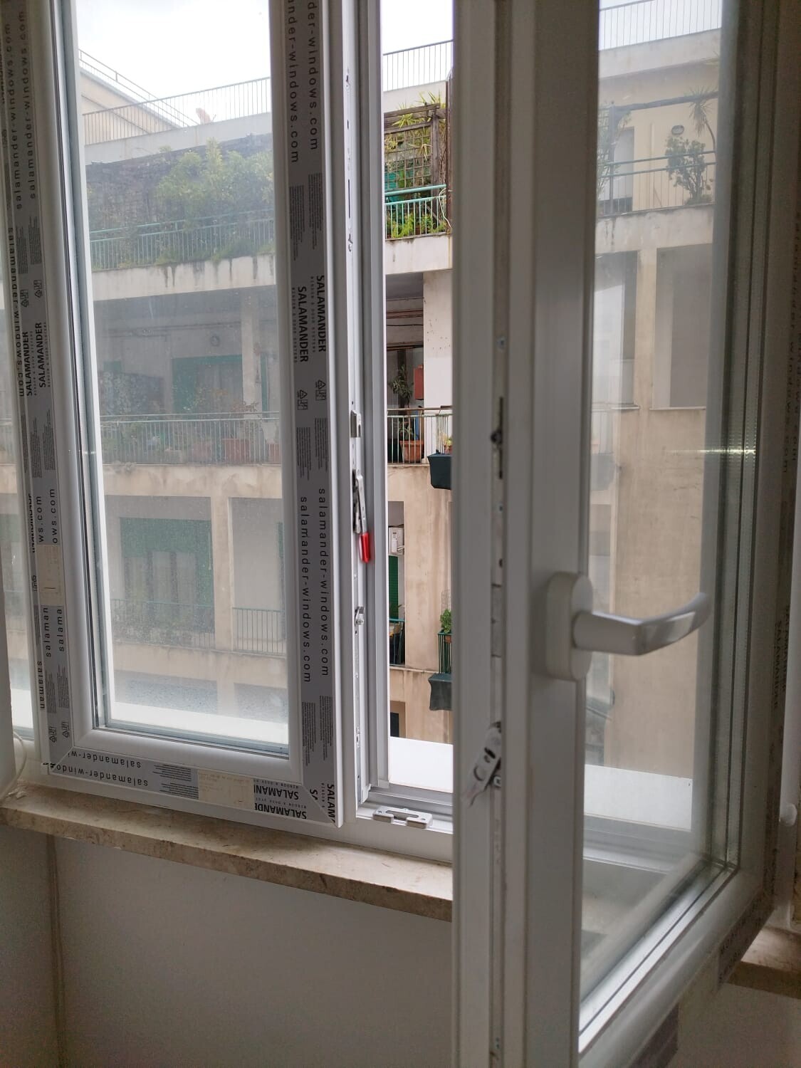 WhatsApp Image 2026-02-11 at 11.07.10