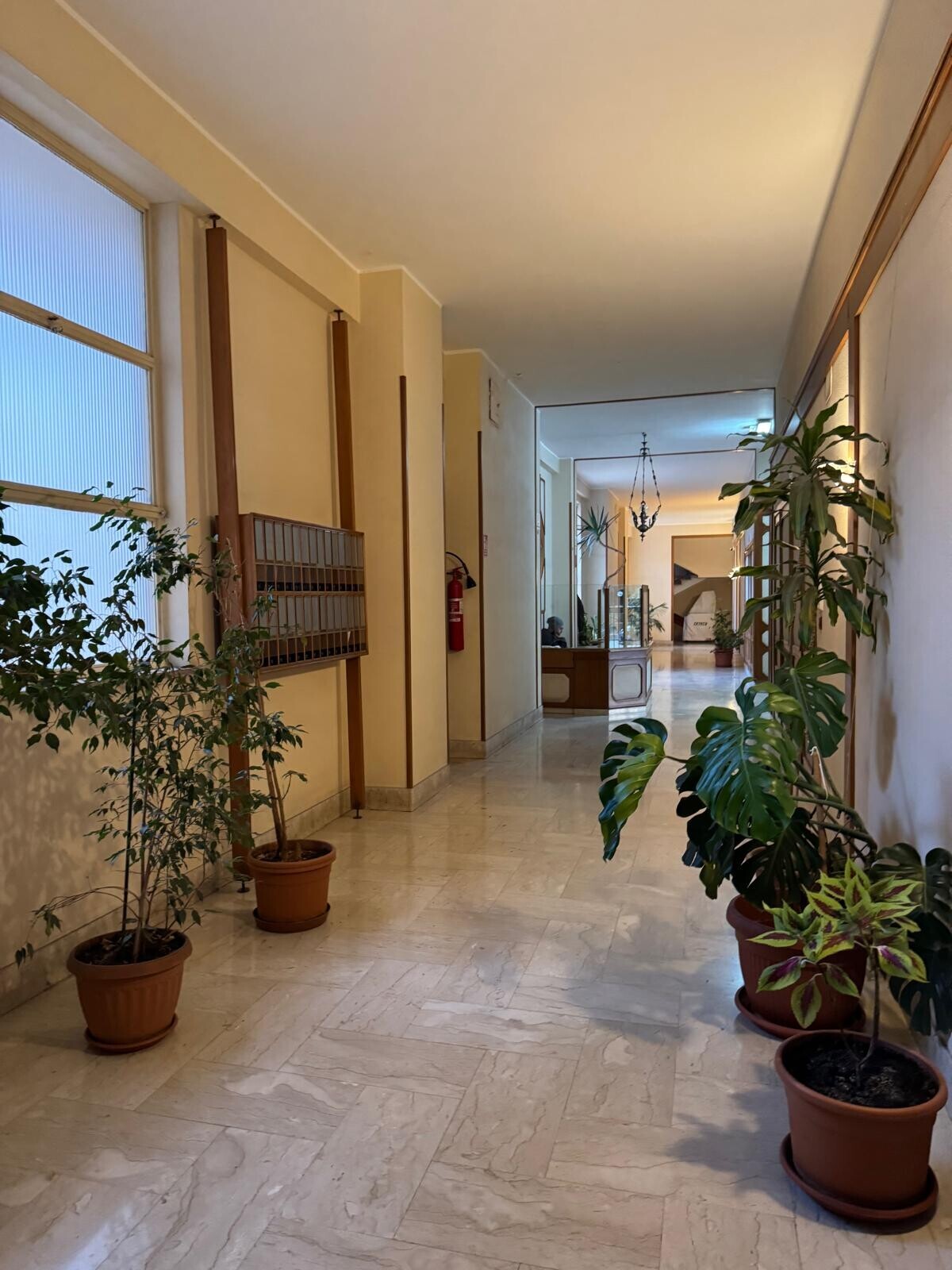 7ec201fd-3d1f-4603-842c-628a4df799b8