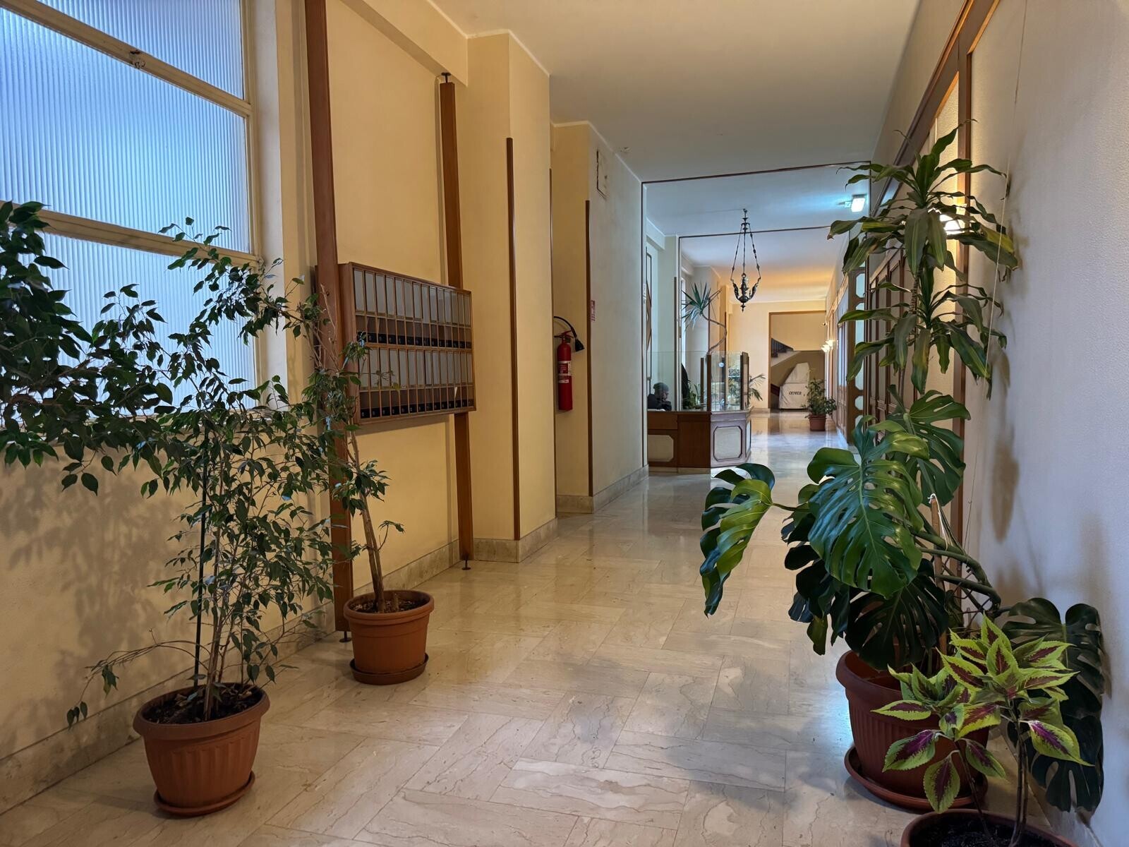 b725c01c-1eeb-4286-bd54-d9e4227dae18