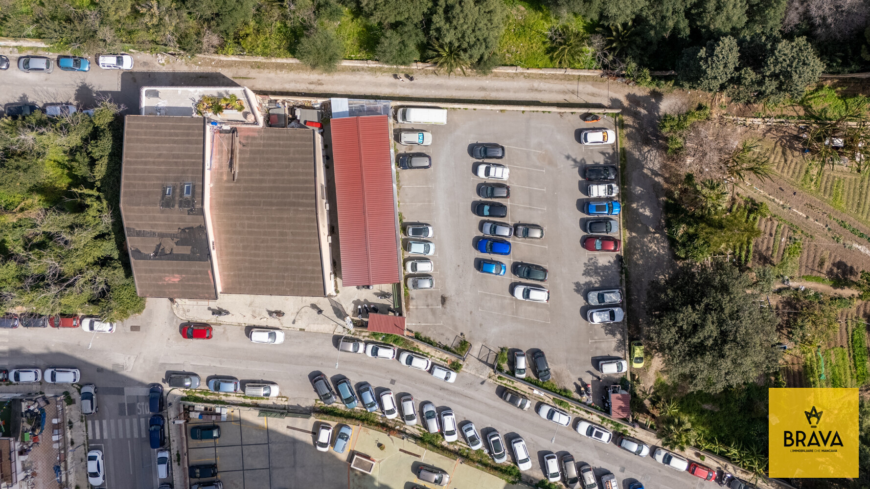 A.L.C. Via Salvatore Puglisi n.20-55