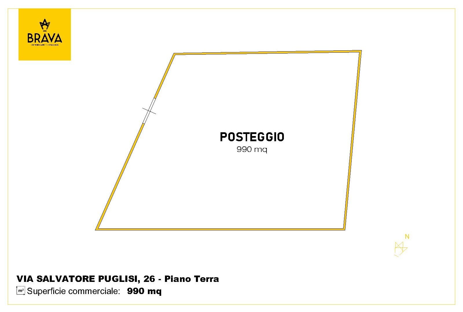 PHOTO-2026-03-17-15-48-24