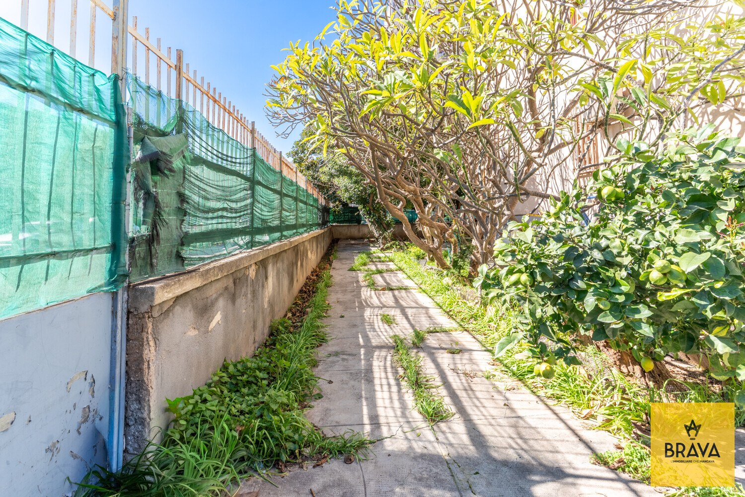 A.L.C. Via Re Enzo 6-24