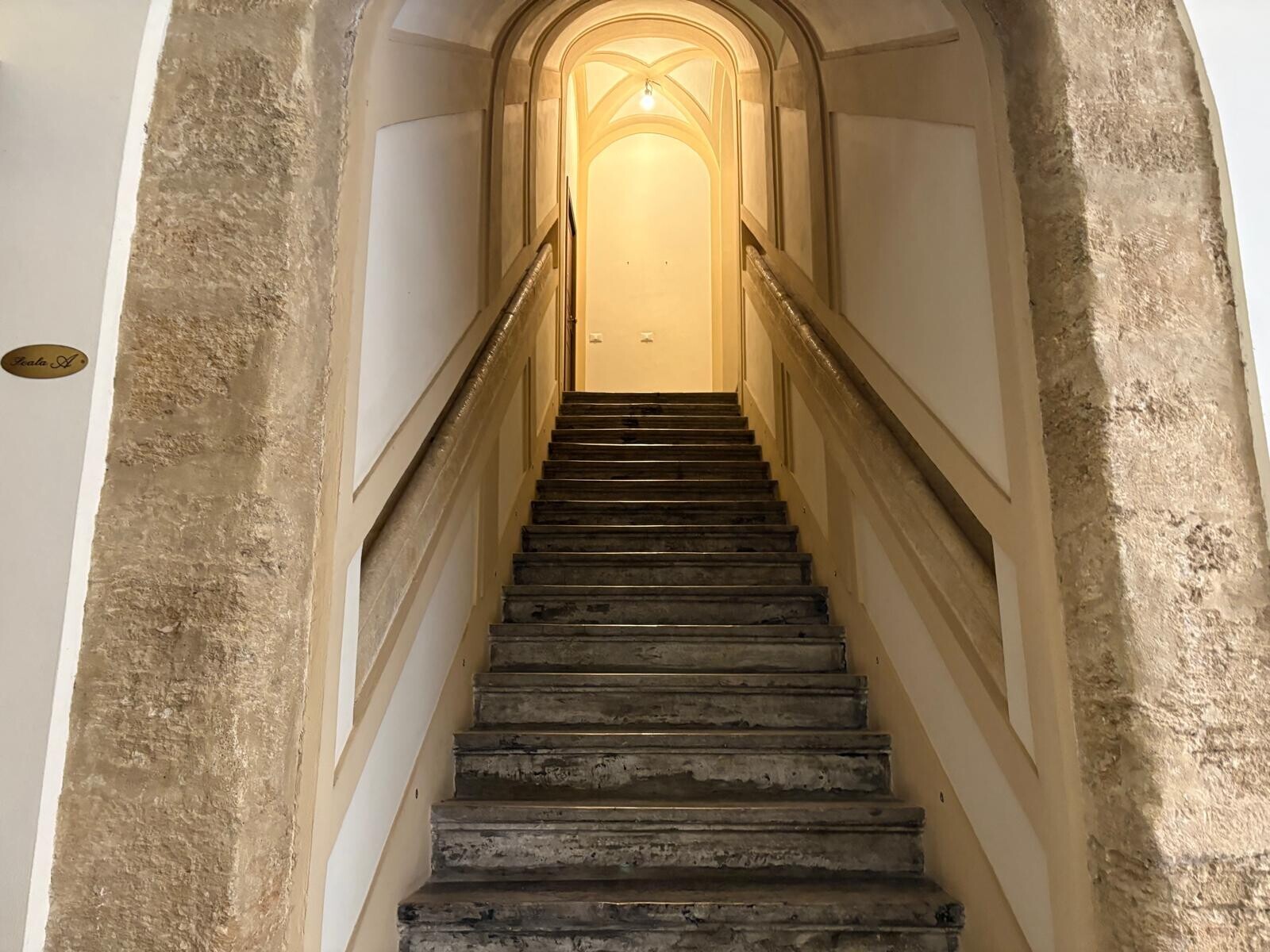 d9b1d76f-5a92-4d4f-94f1-b5570bca9b26