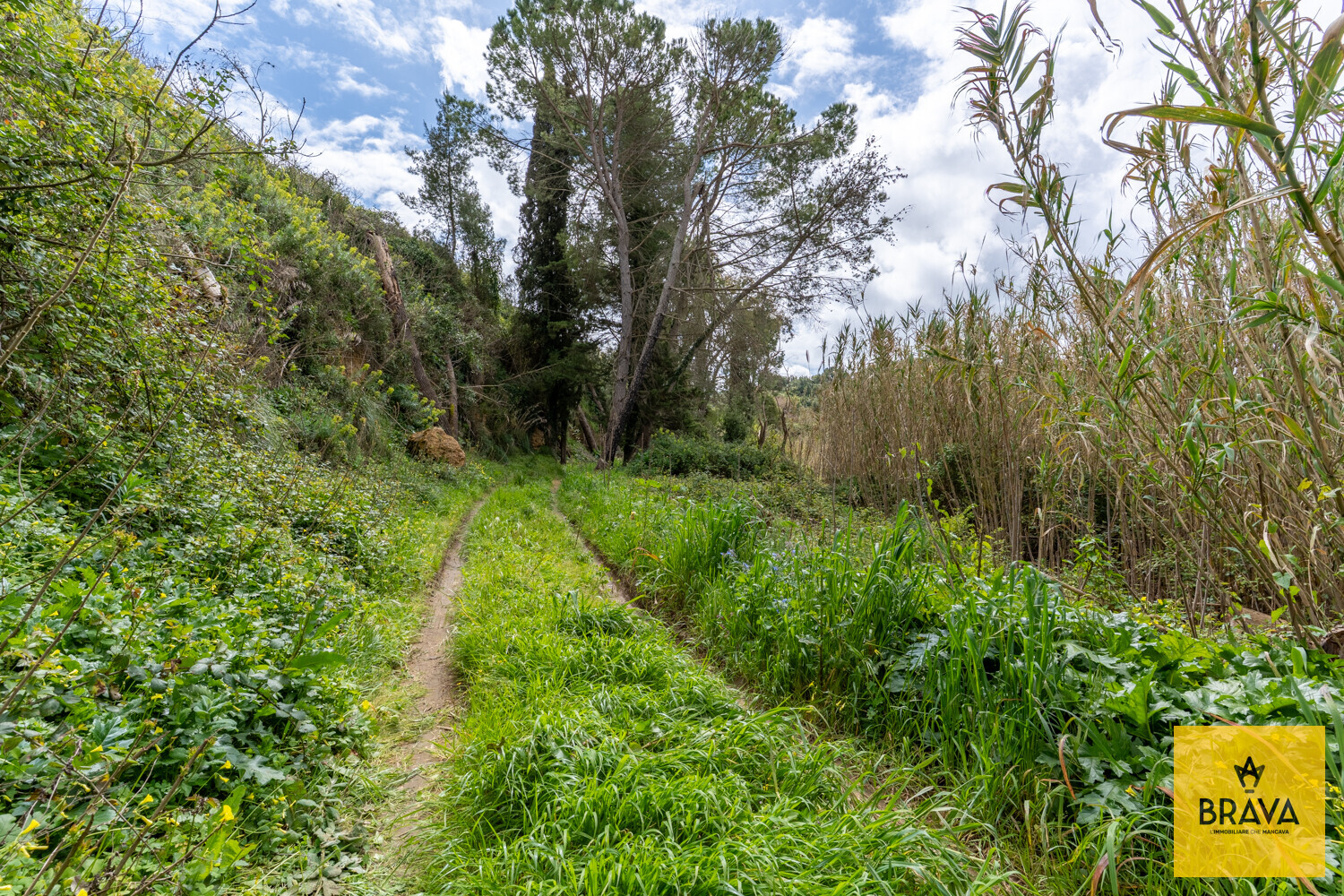 A.L.C. Villa Santa Margherita di Belice-74