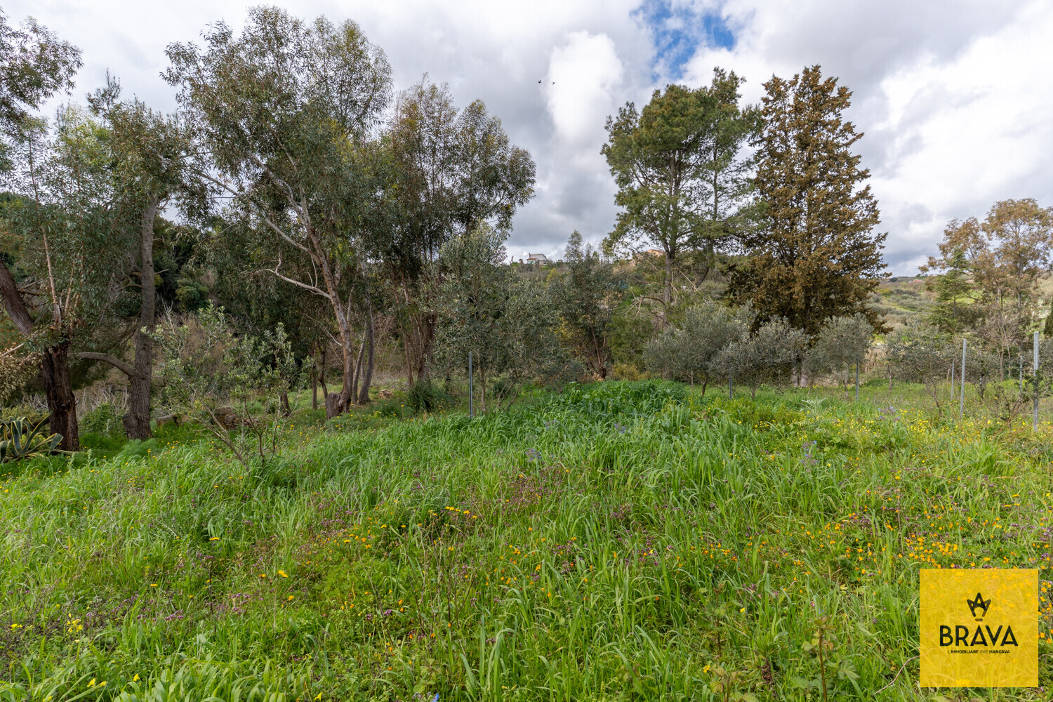 A.L.C. Villa Santa Margherita di Belice-60