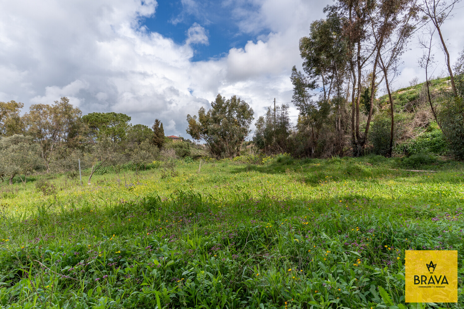 A.L.C. Villa Santa Margherita di Belice-58