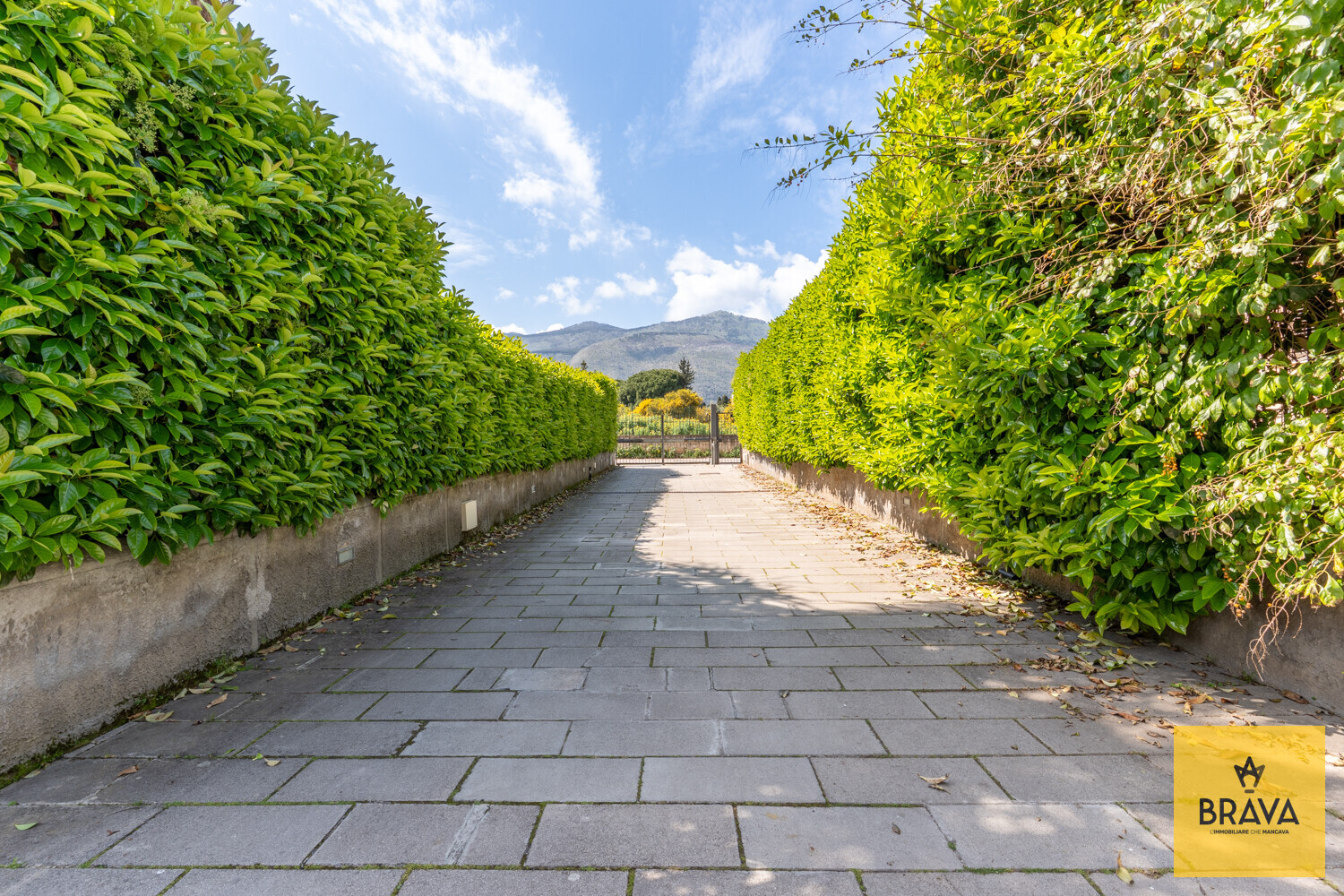 A.L.C. Via Aspasia 7-86