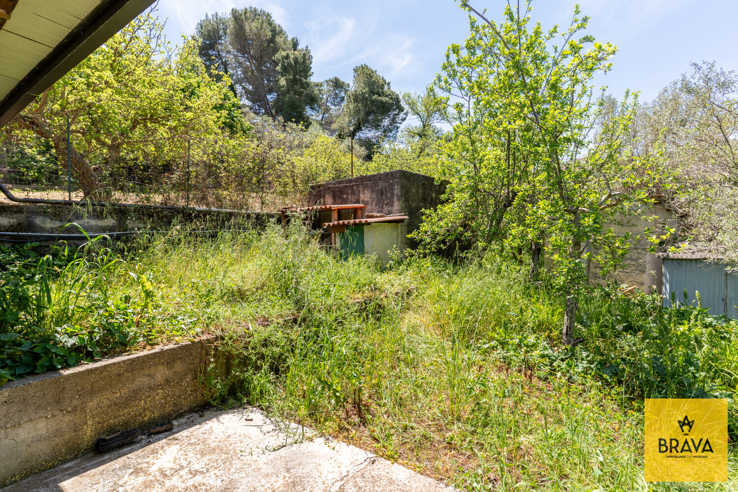 A.L.C.-31