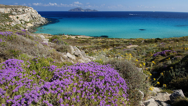 Favignana cala rossa 01