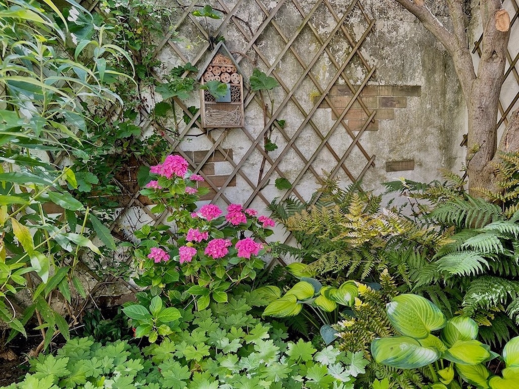 Gartenimpressionen