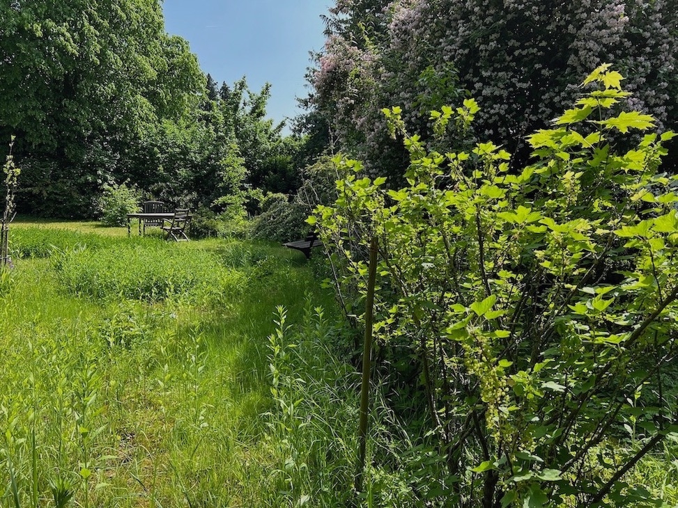 Gartenimpressionen