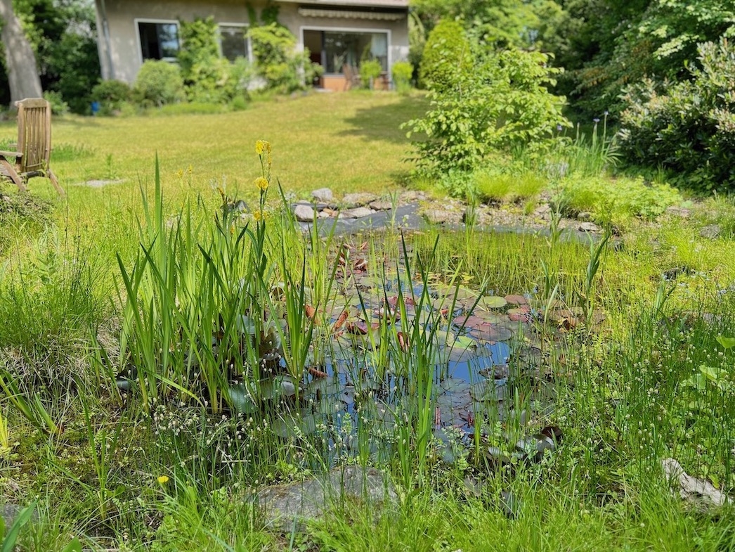 Gartenimpressionen