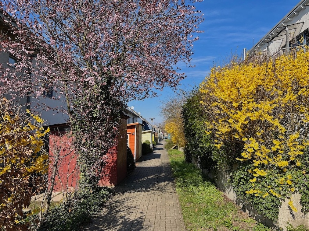 Zuwegung