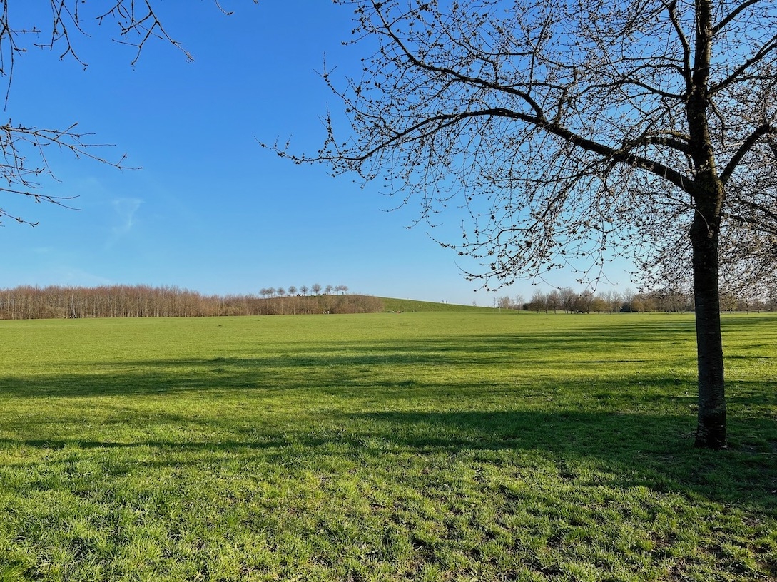 Blick zum Kronberg