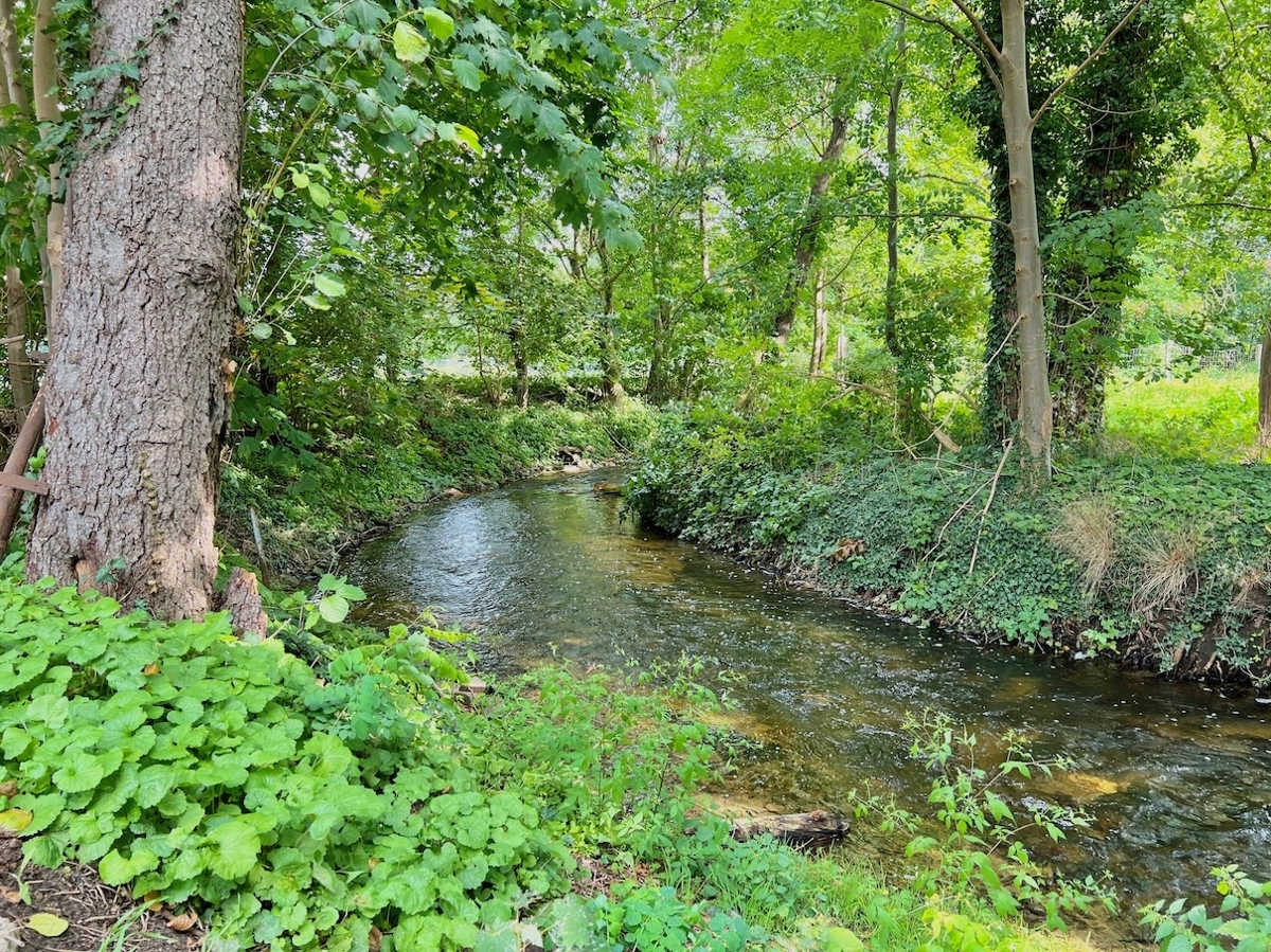 Blick zur Erse