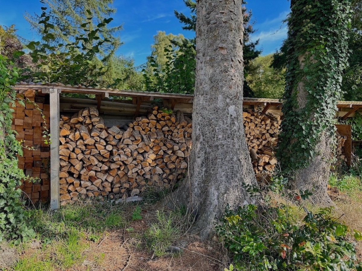 Gartenimpressionen