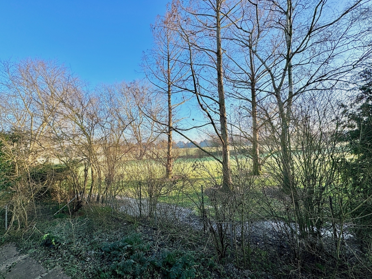 Blick aus der Küche